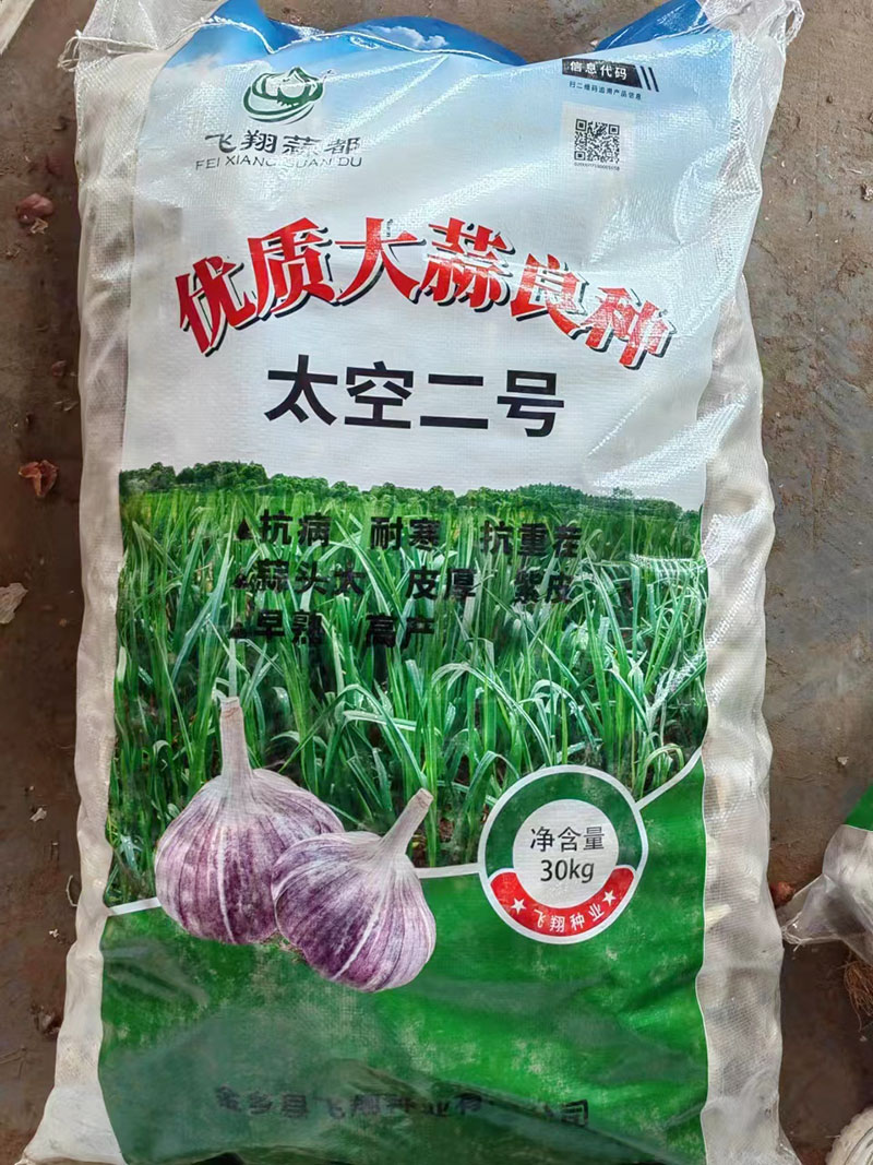 大蒜种子批发价格