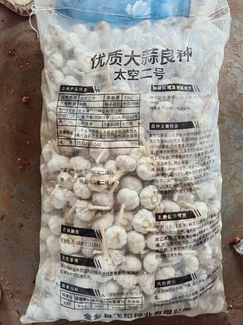 大蒜种子